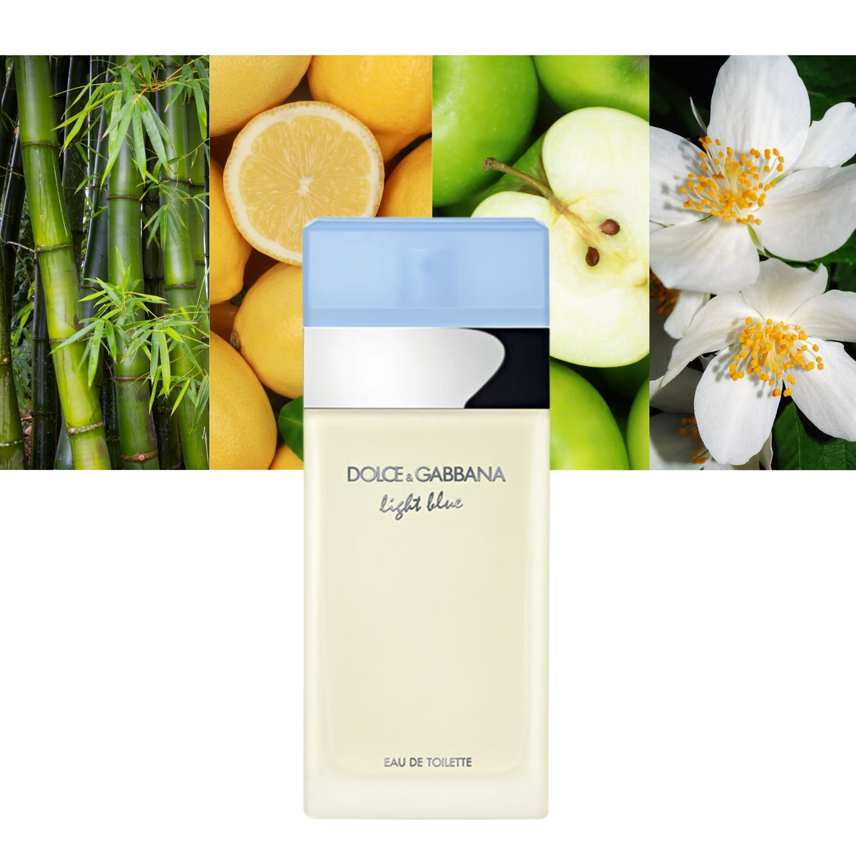 D&G Light Blue Refillable (3.4 oz)